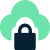 feature icon